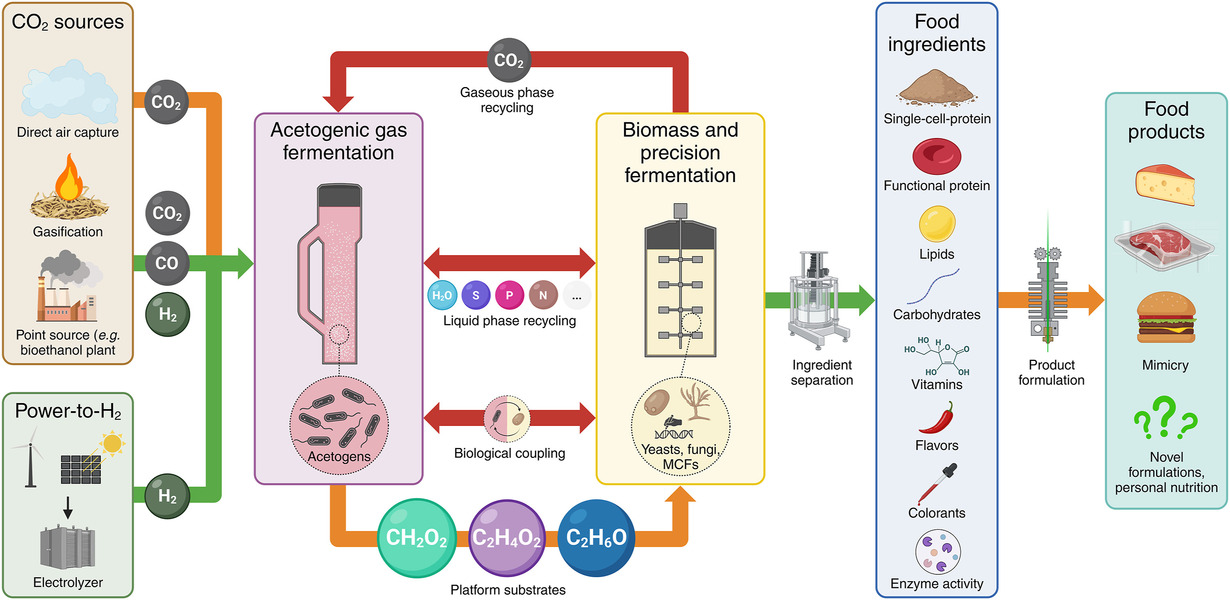 BioFactories