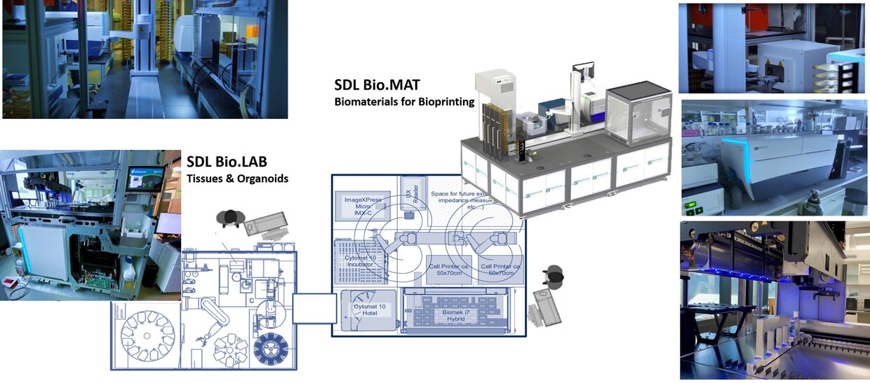 Biomat